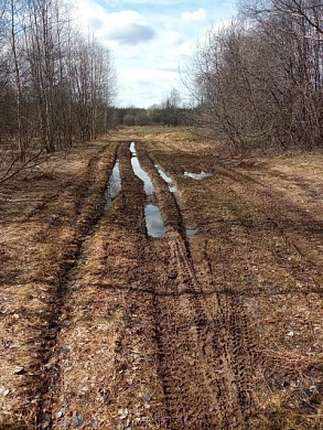 В деревне Гари нет дорог